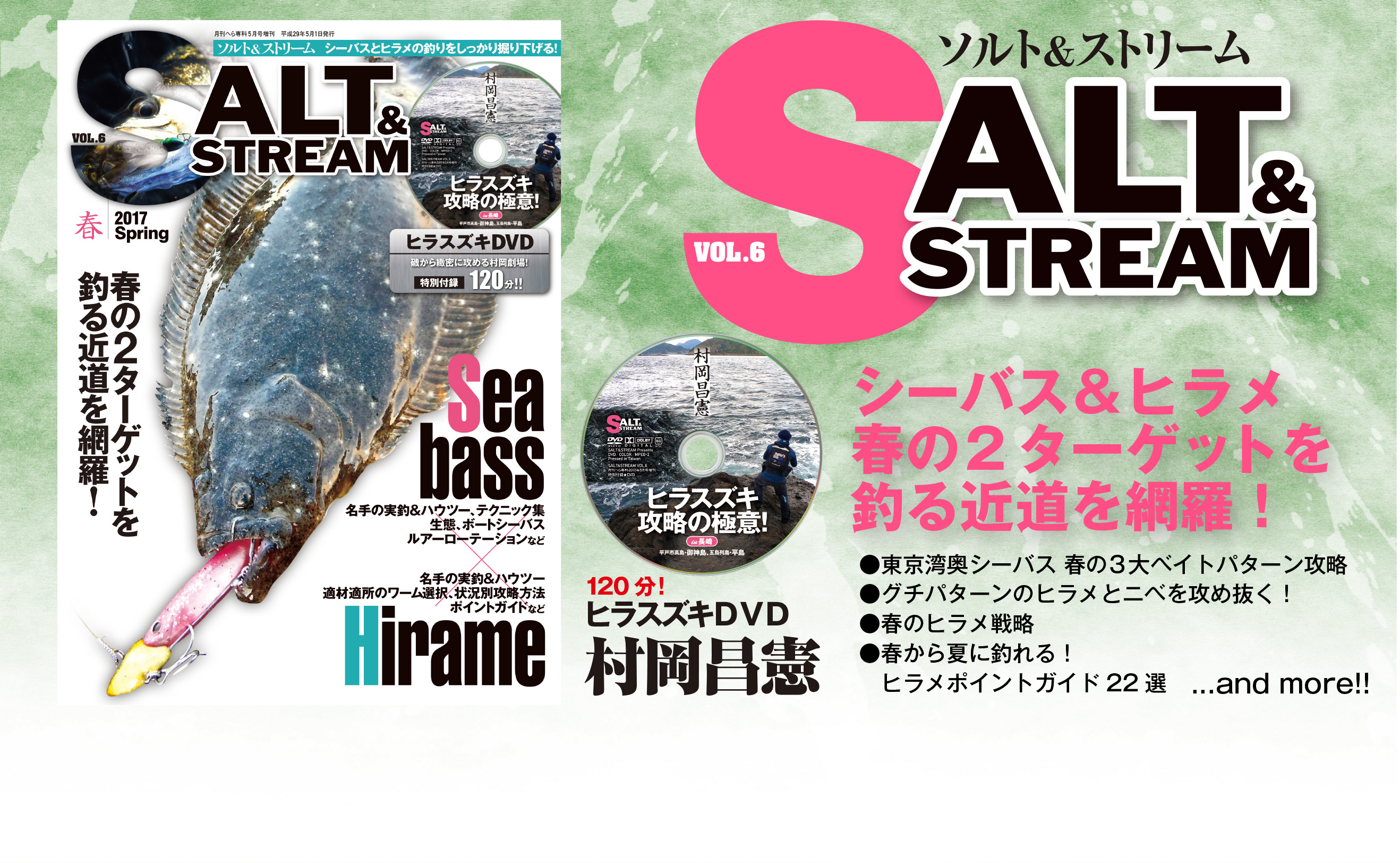 ソルト＆ストリームVOL6発売！ | 磯・投げ情報×ソルト & ストリーム