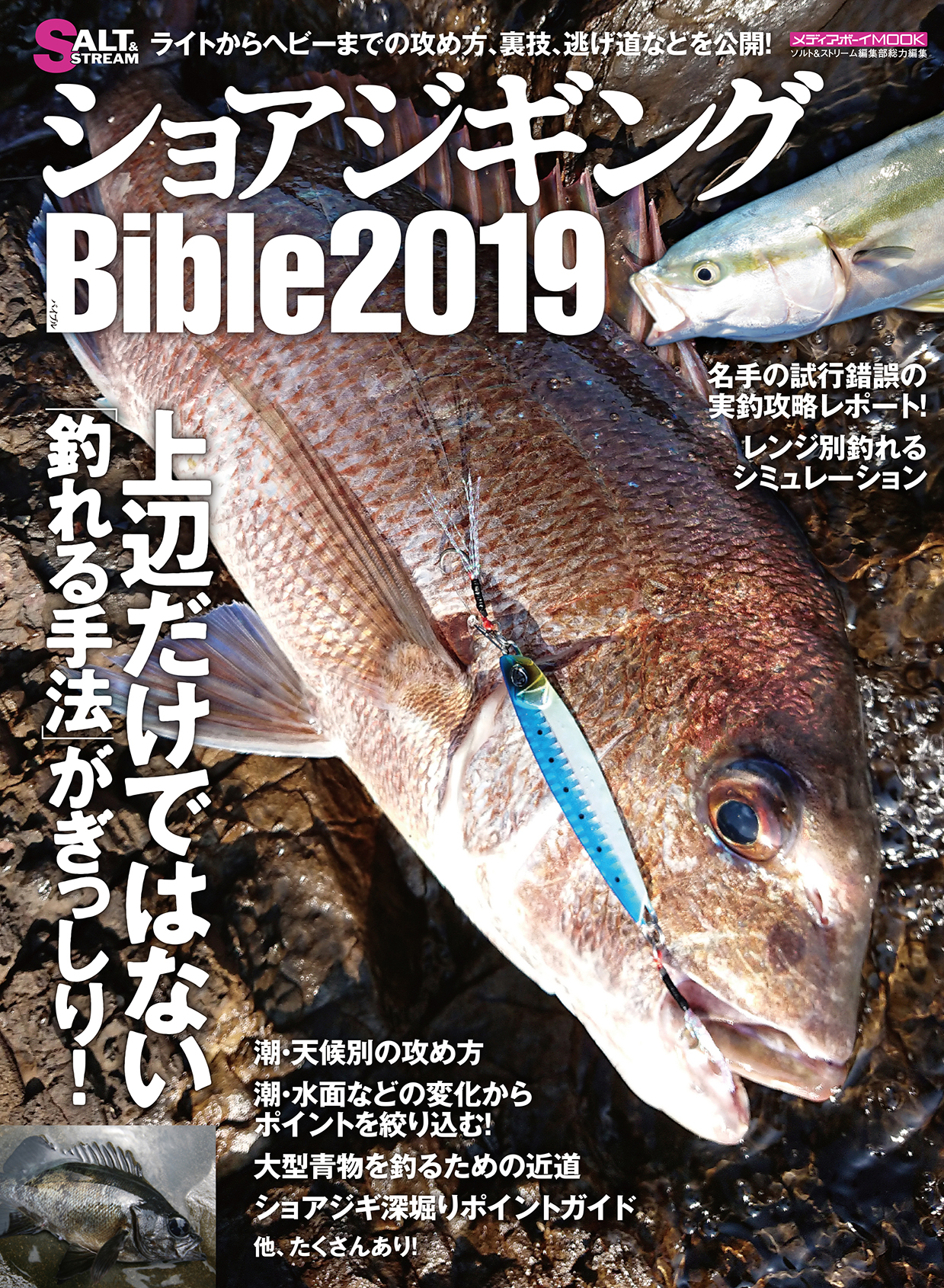 メディアボーイmook ショアジギングbible19 が7月19日 金 に発売 磯 投げ情報 ソルト ストリーム